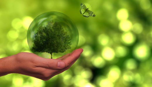 【事例あり】ゼロウェイストとは？生活での取り組み方とメリット・デメリットを解説